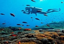 Tour Du Lịch Cần Thơ - Phú Quốc 04 Ngày 3 Đêm